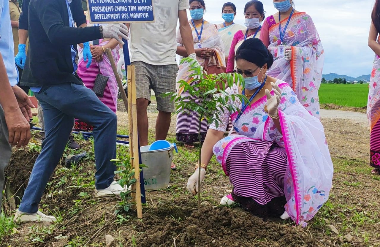 World  Environment Day: Tree Plantation Programme